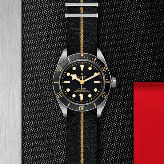 Tudor Black Bay 58 M79030N-0003