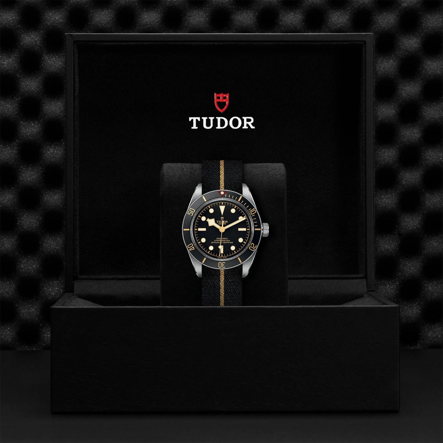 Tudor Black Bay 58 M79030N-0003