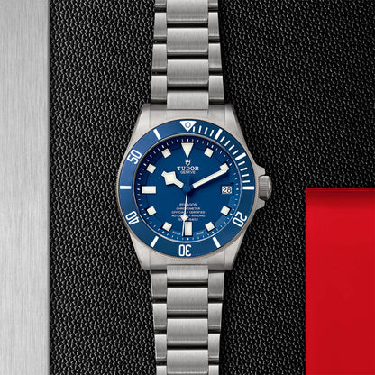 Tudor Pelagos M25600TB-0001