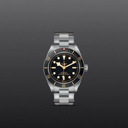 Tudor Black Bay 58 M79030N-0001