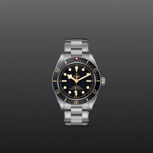 Tudor Black Bay 58 M79030N-0001