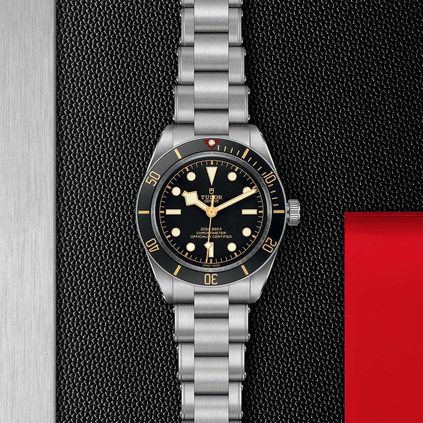 Tudor Black Bay 58 M79030N-0001