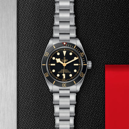 Tudor Black Bay 58 M79030N-0001