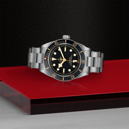 Tudor Black Bay 58 M79030N-0001