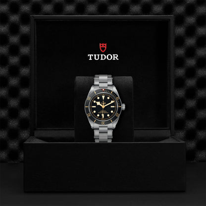 Tudor Black Bay 58 M79030N-0001