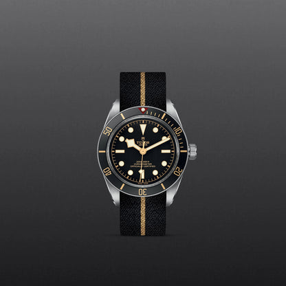 Tudor Black Bay 58 M79030N-0003