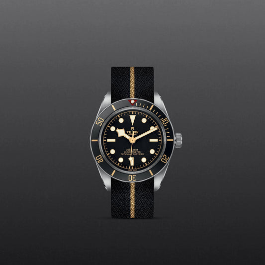 Tudor Black Bay 58 M79030N-0003