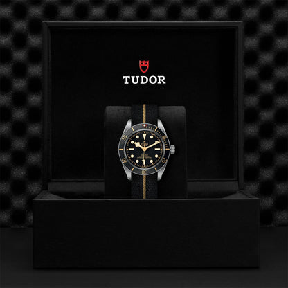 Tudor Black Bay 58 M79030N-0003
