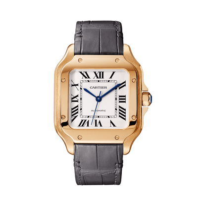 Cartier Santos De Cartier Watch Medium WGSA0031