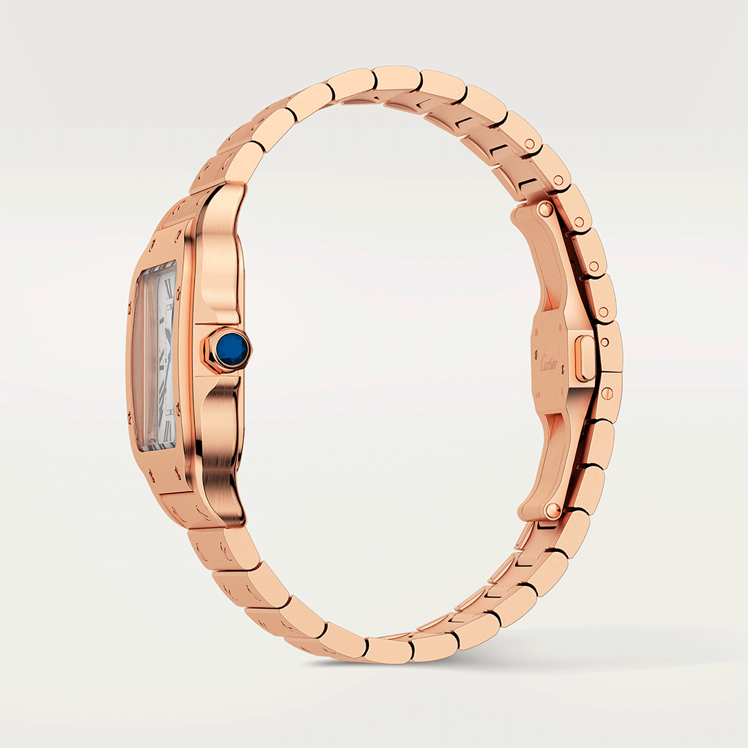 Cartier Santos De Cartier Watch Medium WGSA0031