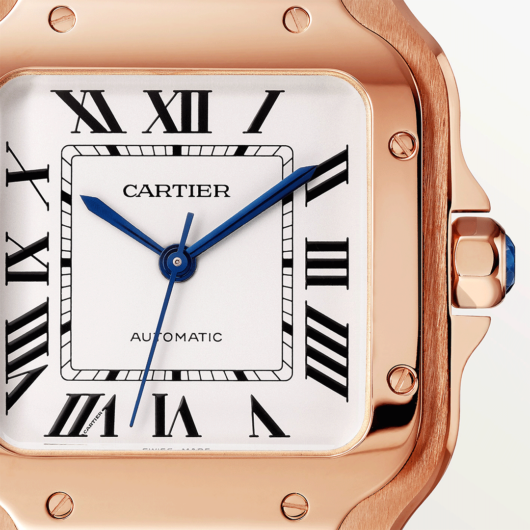 Cartier Santos De Cartier Watch Medium WGSA0031